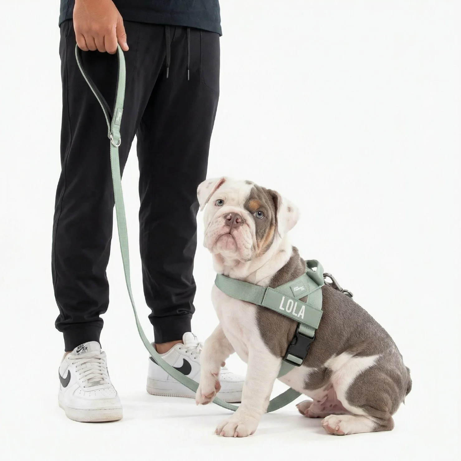 Thumbnail 19