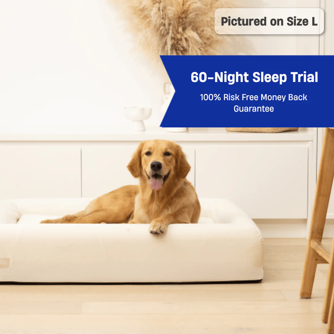 Thumbnail 17